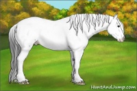 Horse Color:Grullo Fewspot