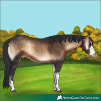 Horse Color:Brown Onyx
