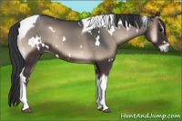 Horse Color:White Spotted Blue Onyx Tobiano 