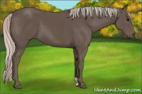 Horse Color:Silver Black 