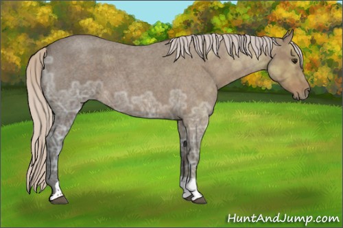 Horse Color:Silver Buckskin Ice Roan Tobiano 