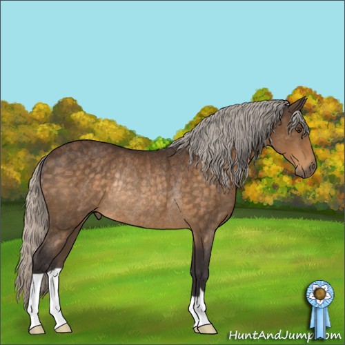 Horse Color:Silver Buckskin Rabicano 