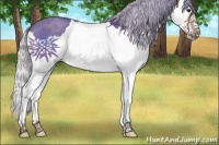 Horse Color:Silver Blue Roan Splash 