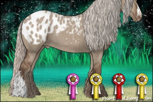 Horse Color:Silver Grullo Appaloosa 
