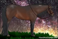 Horse Color:Brown 