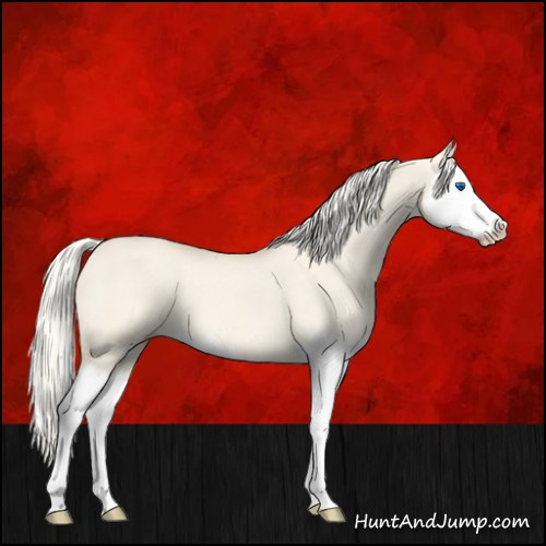 Horse Color:Cremello Dun Splash 