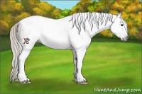 Horse Color:Gray Silver Black Tobiano Rabicano 