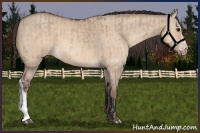 Horse Color:Bay Dun  and Amber Champagne Dun 
