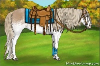 Horse Color:White Spotted Chestnut Splash 
