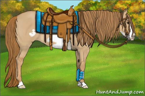 Horse Color:Red Dun Frame 