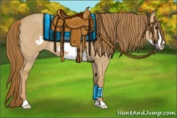 Horse Color:Red Dun Frame