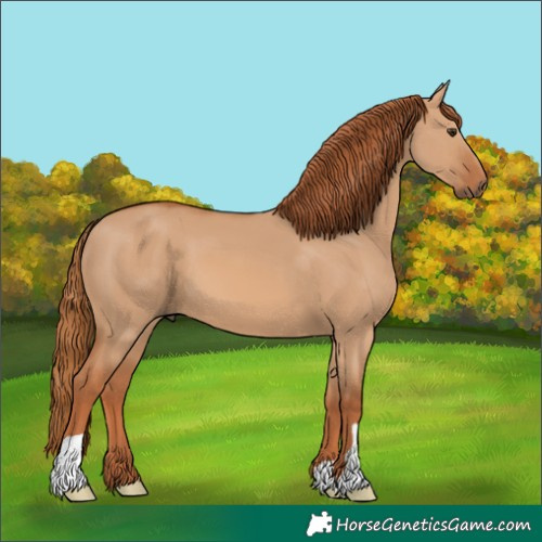 Horse Color:Red Dun 