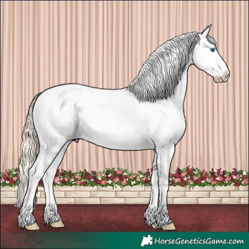 Horse Color:Chestnut Mushroom Splash Appaloosa 