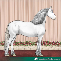 Horse Color:Chestnut Mushroom Splash Varnish 