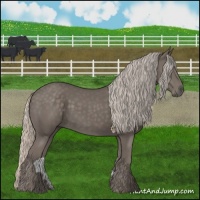 Horse Color:Silver Black 