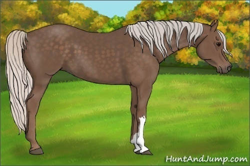 Horse Color:Silver Black 