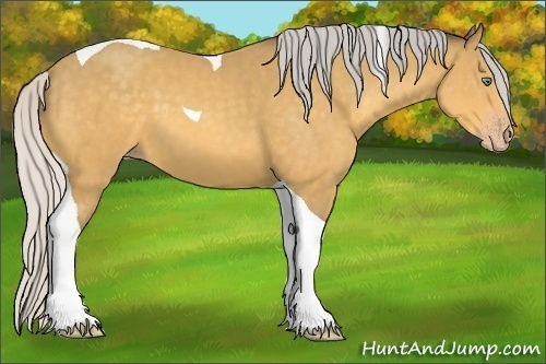 Horse Color:Silver Amber Cream Champagne Tobiano 