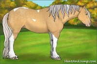 Horse Color:Silver Amber Cream Champagne Tobiano 
