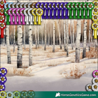Horse Color:Silver Brown Pearl Dun