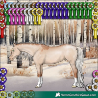 Horse Color:Silver Brown Pearl Dun 
