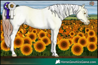 Horse Color:White Spotted Brown Dun Tobiano Varnish Brindle 