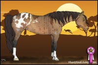 Horse Color:Brown Dun Blanket Brindle 