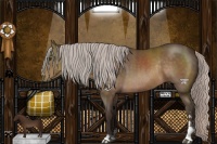 Horse Color:Silver Brown Sabino Rabicano 