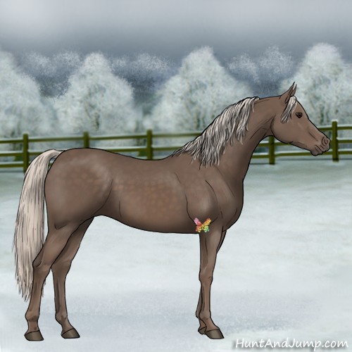 Horse Color:Silver Black 