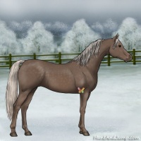 Horse Color:Silver Black 