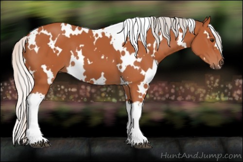 Horse Color:White Spotted Silver Bay 
