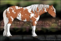 Horse Color:White Spotted Silver Bay 