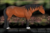 Horse Color:Brown 