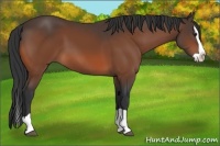 Horse Color:Brown Splash 