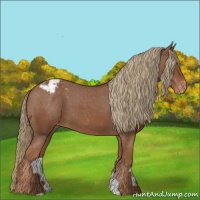 Horse Color:Chestnut Varnish