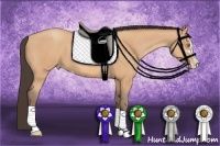 Horse Color:Amber Champagne Sabino