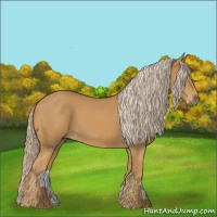 Horse Color:Palomino 