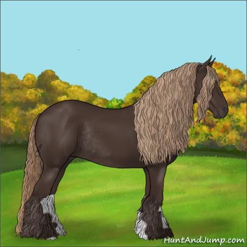Horse Color:Liver Chestnut Rabicano