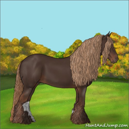Horse Color:Liver Chestnut Rabicano 