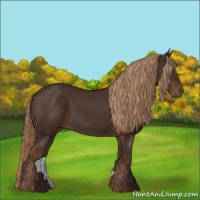Horse Color:Liver Chestnut Rabicano