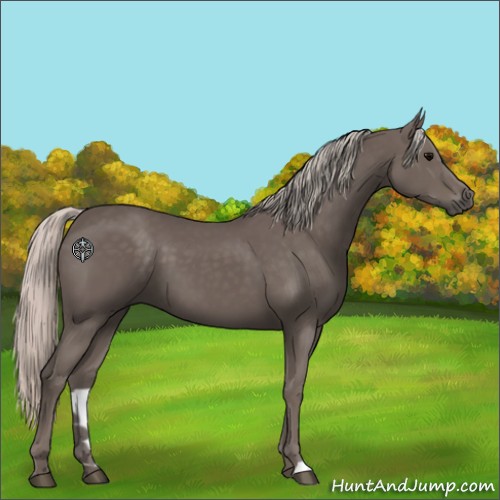 Horse Color:Silver Black