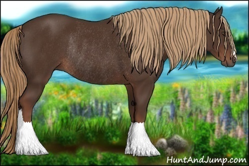 Horse Color:Liver Chestnut Rabicano 