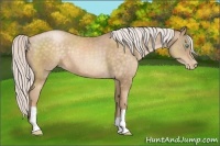 Horse Color:Silver Buckskin Pearl 