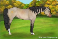 Horse Color:Brown Dun Sabino 