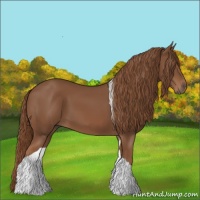 Horse Color:Chestnut Tobiano