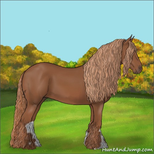 Horse Color:Chestnut 