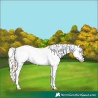 Horse Color:White Spotted Chocolate Palomino Pearl Mushroom Splash 