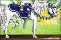 Horse Color:Gray Silver Brown Roan Sabino Splash Frame Appaloosa 