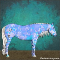 Horse Color:Gray Silver Amber Cream Champagne Roan Dun Splash Tobiano Frame Appaloosa Rabicano 