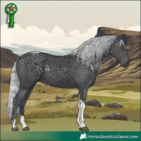 Horse Color:Silver Black Chinchilla Tobiano 