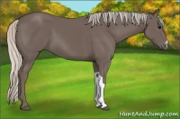 Horse Color:Silver Black 